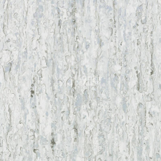 Линолеум Tarkett iq Optima COOL WHITE 0871 фото 1 | FLOORDEALER